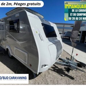 silver mini freestyle 290 vue extérieure