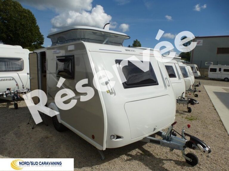 silver mini freestyle 290 vue extérieure