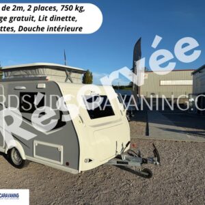 MINI FREESTYLE SILVER 290