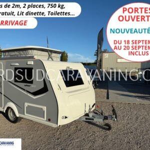 EN ARRIVAGE - MINI FREESTYLE SILVER 290