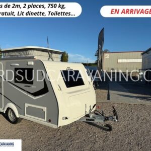 EN ARRIVAGE - MINI FREESTYLE SILVER 290